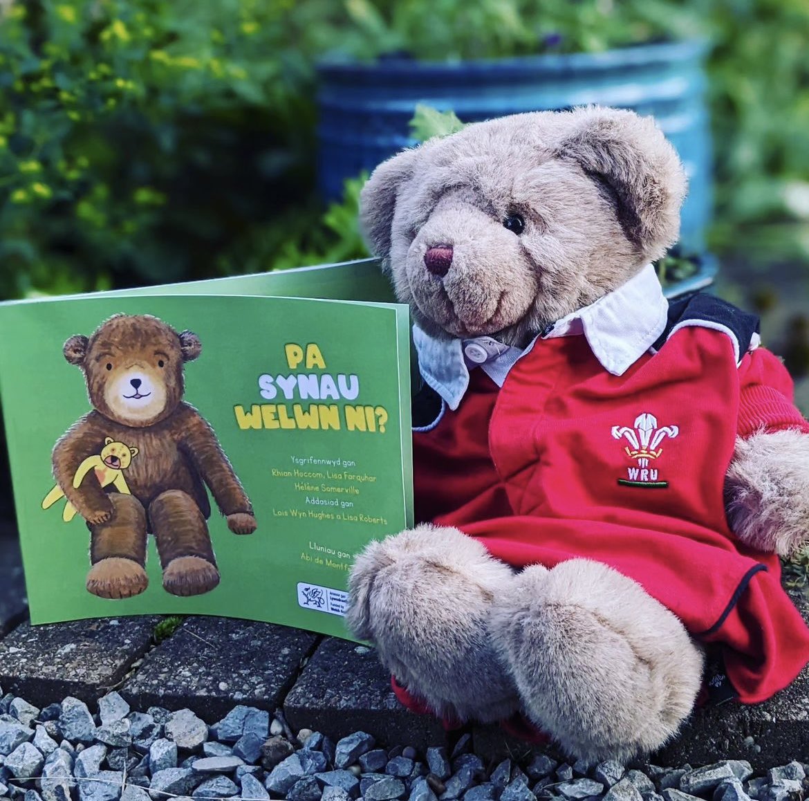 ListenAndLookB1's tweet photo. It’s a big day today for @WelshRugbyUnion and a big day tomorrow for Baby Bear with the launch of Pa Synau Welwn Ni? Pob lwc Cymru ! 🏴󠁧󠁢󠁷󠁬󠁳󠁿#Welsh #cymraeg #culture #language #LanguageLearning Coming to a library near you ( in #WALES ) very soon @WelshGovernment https://t.co/SrJVJ6bi6D