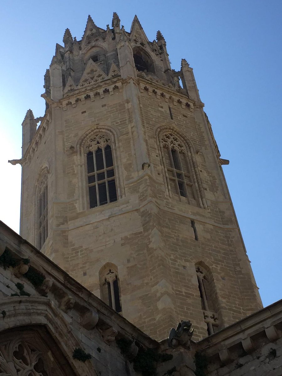 El Turó de la Seu Vella de Lleida obre diumenge de 10 a 15 hores.
Visites guiades a les 11h (cat) i 12.30h (cast). Reserves: 973230653
ℹ️ Avui és el darrer dia de l'Obert Centre Històric, amb activitsts diverses a la zona d' accés al Turó. Programa ➡️ paeria.cat/ca/recursos/pr…