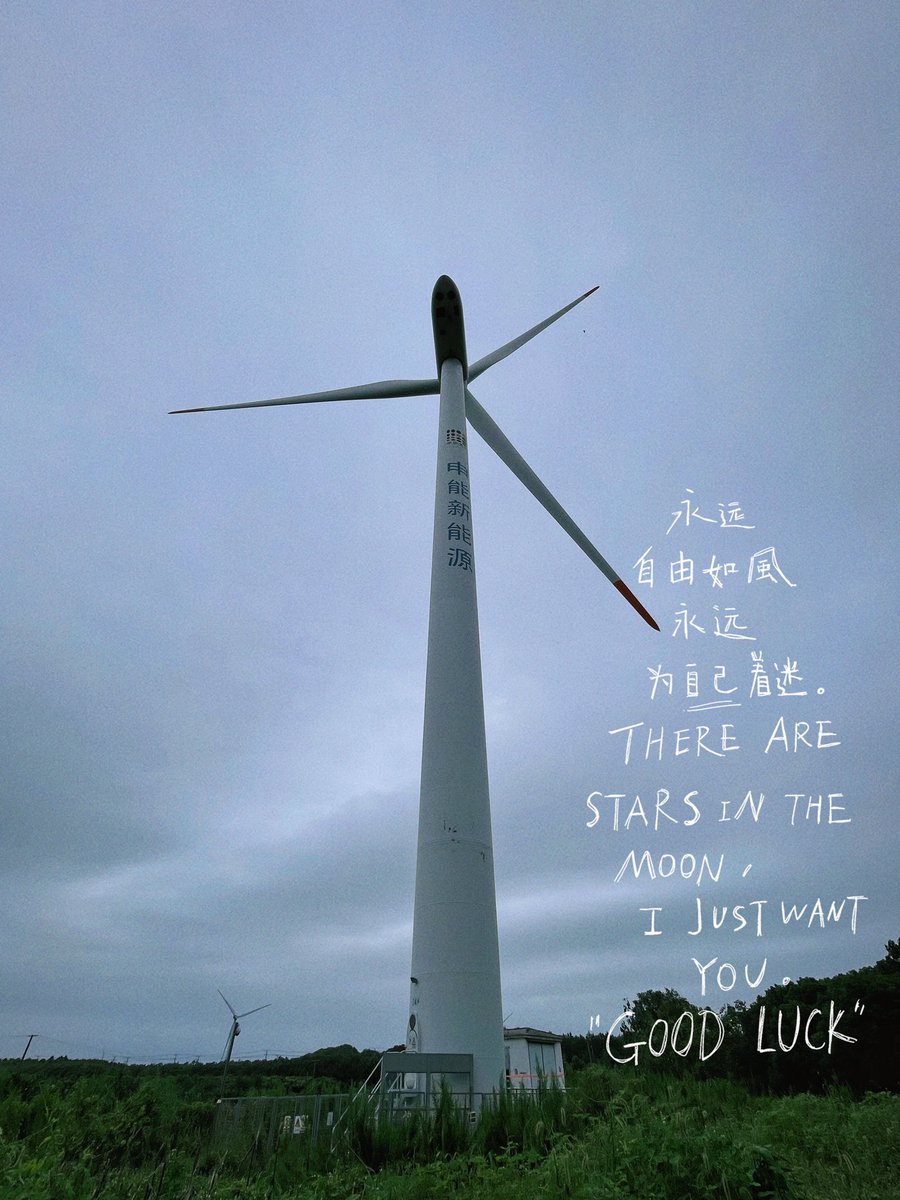 Floverwei tweet media