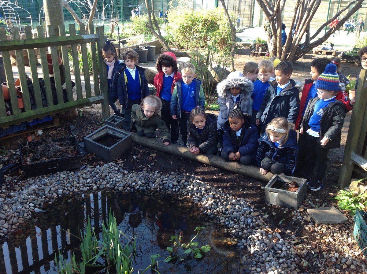 Heathbrook Primary tweet media
