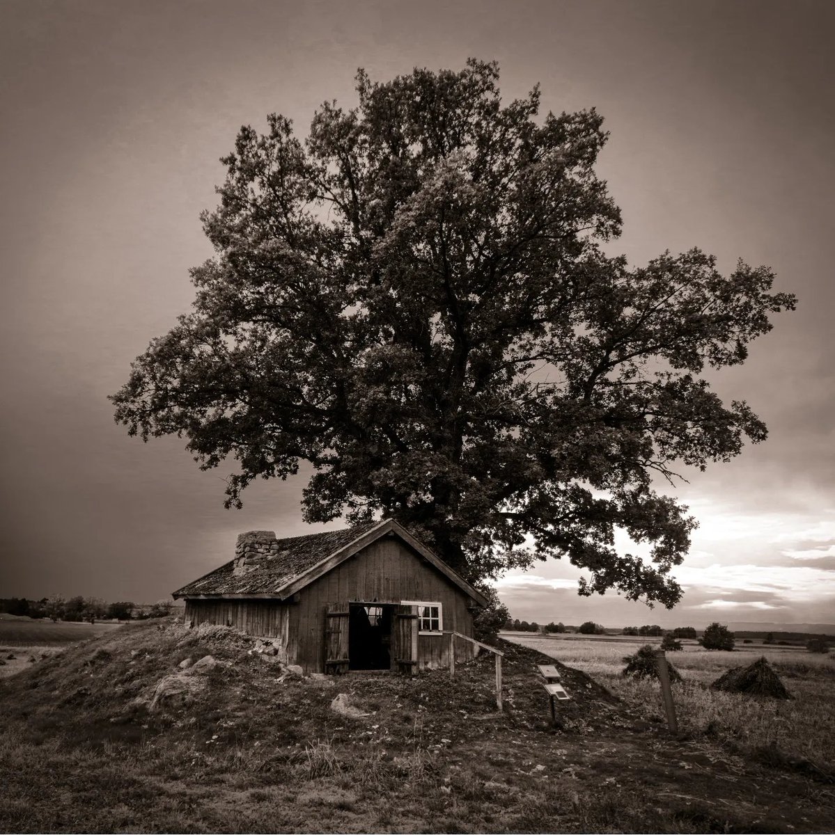 Gary Weeks Photography tweet media