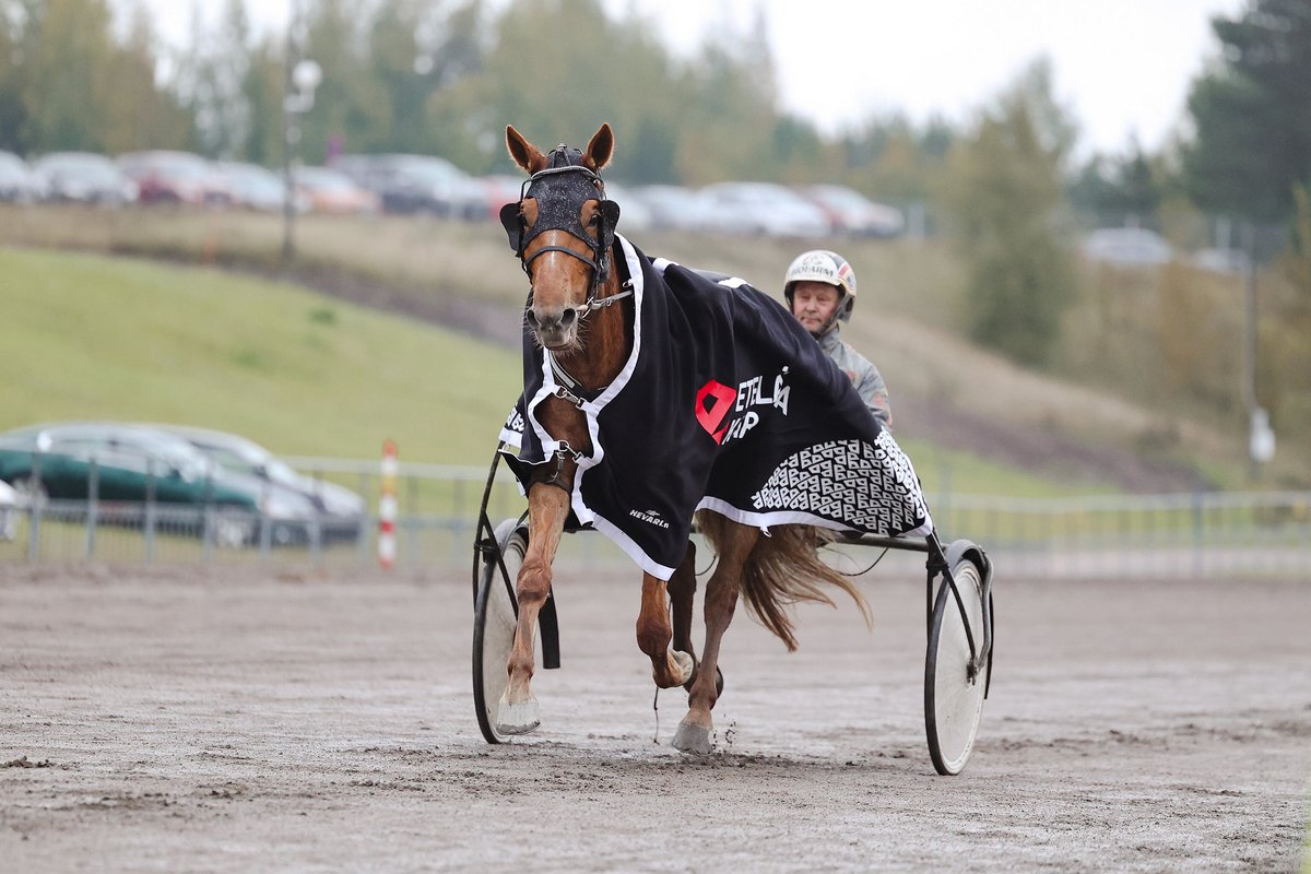 Viikon Kavioliiga-ravit kilpailtiin eilen Lappeenrannassa. Päivä huipentui Villinmiehen Tammakilvan finaaleihin, joissa seppeleensä saivat Huisi Hippu ja Marier Mili 🏆

🥇 Issakan Valo
🥇 Elvira Damgård
🥇 Lumi-Oosa
🥇 Skyfall Shine
🥇 Huisi Hippu
🥇 Marier Mili
🥇 Kyle Web