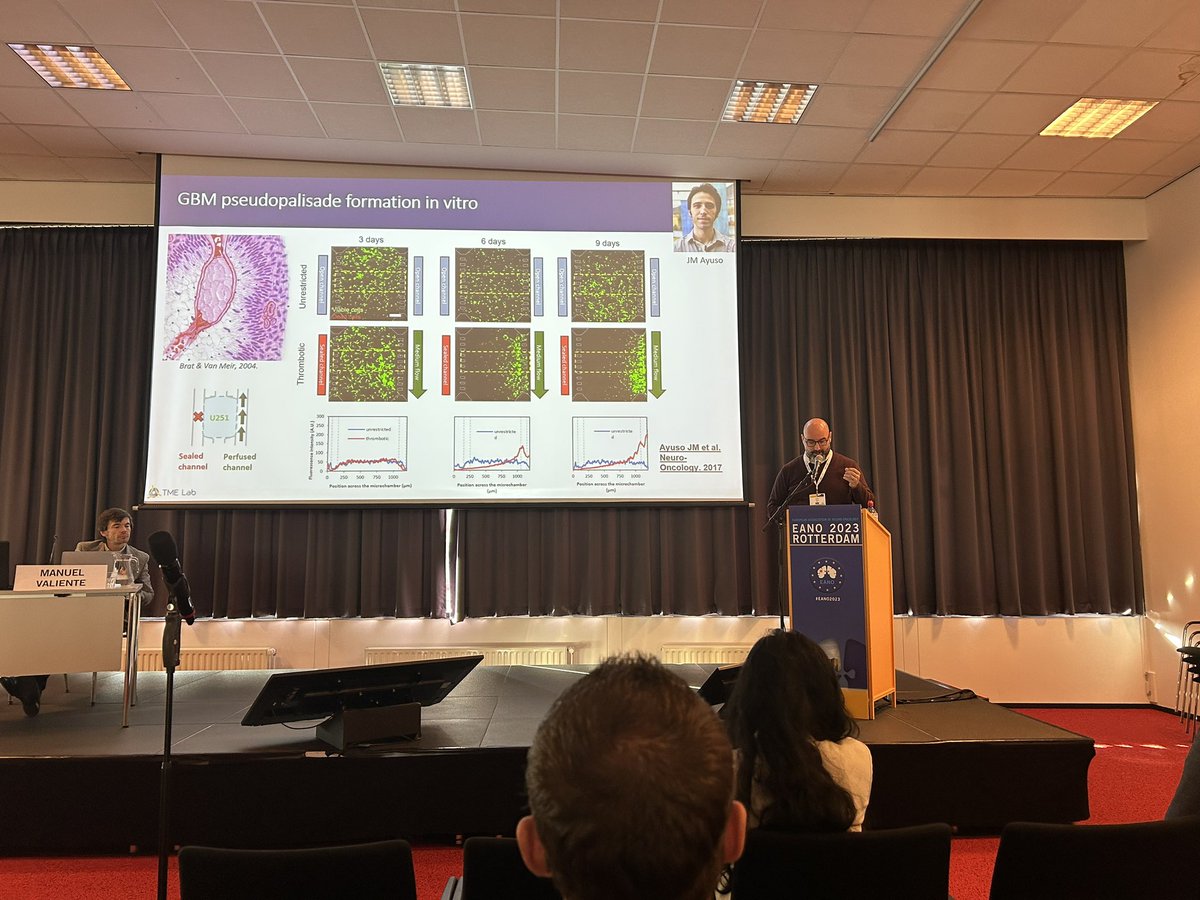 For the most resistant #EANO2023 attendees - a Sunday morning session on patient avatars with @iochgar showing hypoxia in organ-on-chip