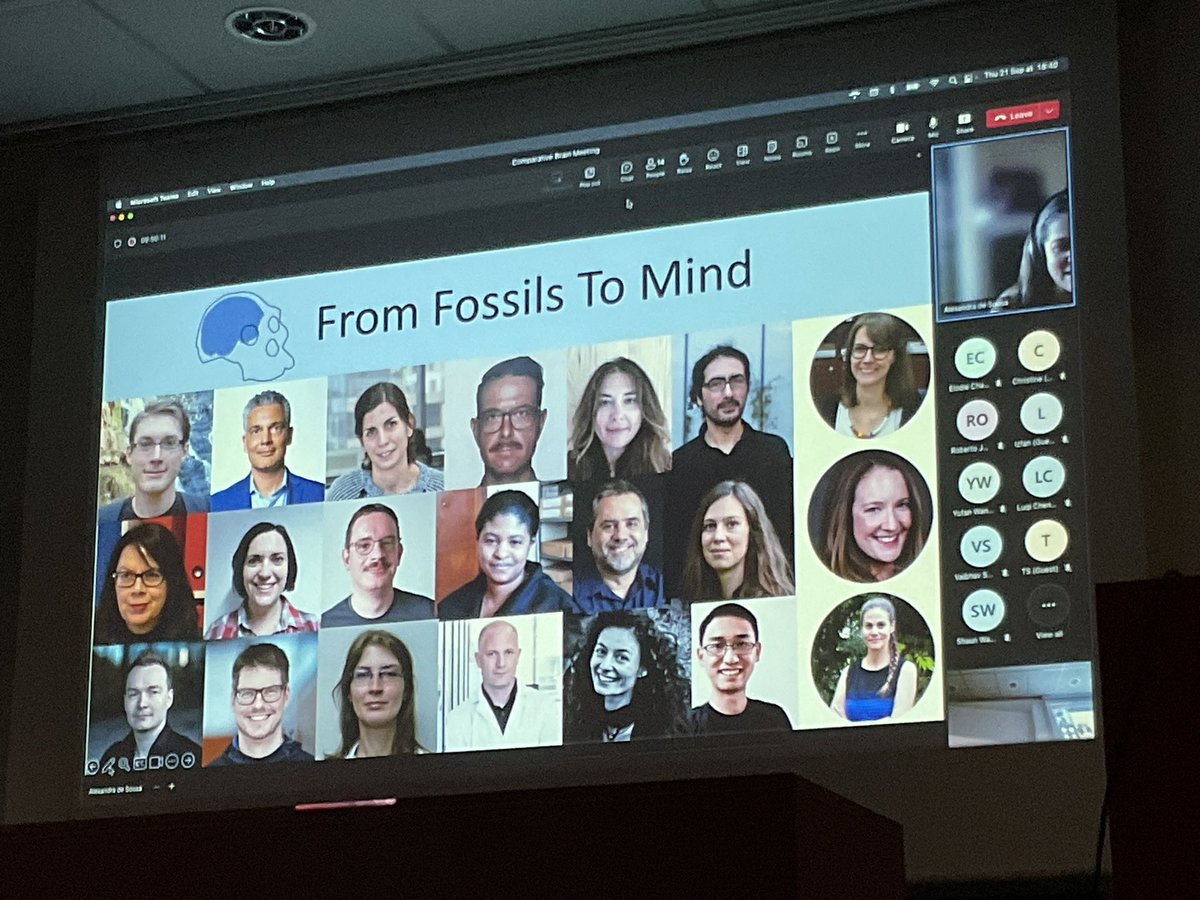 katjaQheuer's tweet photo. Closing the final session with a dive through the fossil record with @AleAliSousa From fossils to mind .
#compMRI @R3RT0 @NeuroecologyLab @AssafLab https://t.co/b9xgCuQelf