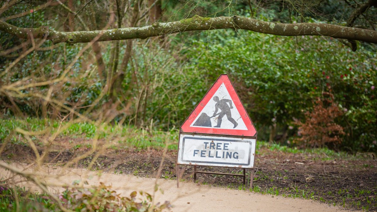 DartmoorNT's tweet photo. There will be a #PathClosure in Fingle Woods from Mon 24 Sep for around 8 weeks, for essential tree thinning works.
A section of the southern riverside path between Fingle Bridge and Iron Bridge will be closed. Please take note of any signage and diversions on site, thanks. https://t.co/cUkcFxfkRf