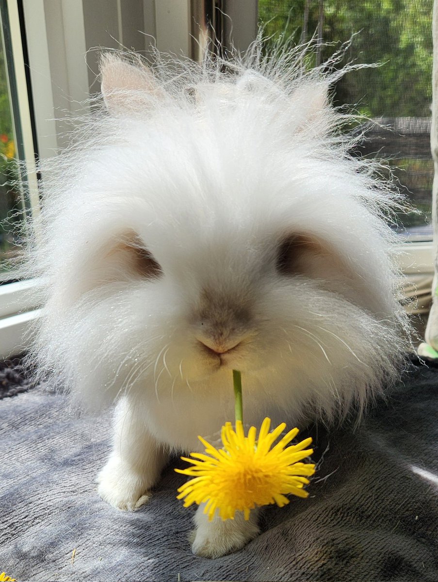 Loralea Carruthers tweet media