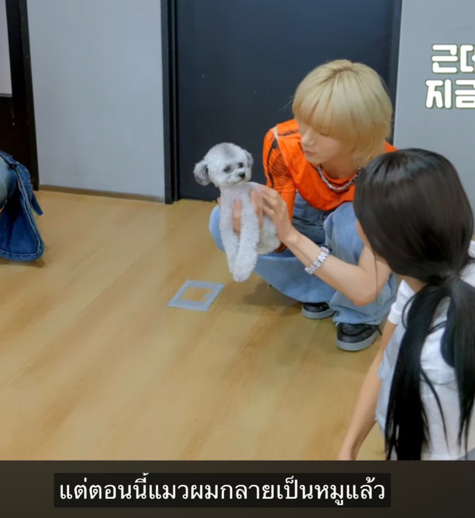 Peejador's tweet image. อย่าให้มีครั้งที่สองนะ แล้วถ้ามีครั้งที่สองล่ะ อย่าให้มีครั้งที่สามเด็ดขาด แล้วถ้ามีครั้งที่สามล่ะ ครั้งที่สี่นี่ไม่ควร