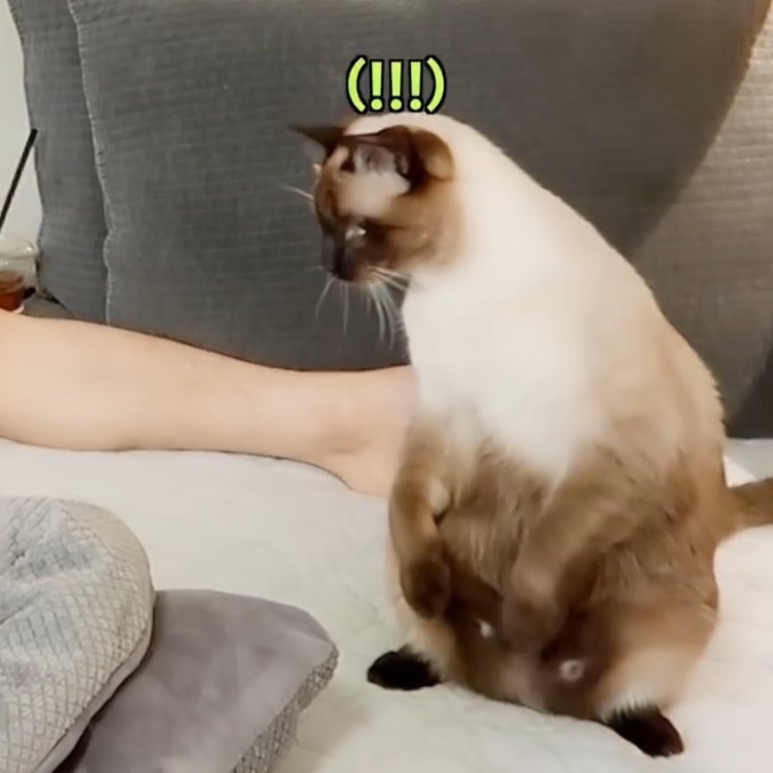 อย่าให้มีครั้งที่สองนะ แล้วถ้ามีครั้งที่สองล่ะ อย่าให้มีครั้งที่สามเด็ดขาด แล้วถ้ามีครั้งที่สามล่ะ ครั้งที่สี่นี่ไม่ควร