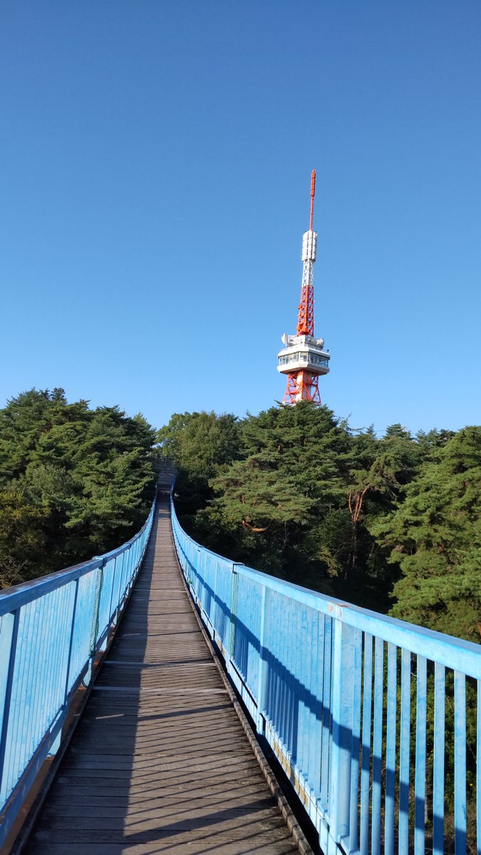 startrek_panda's tweet photo. 9/13 前日出張で宇都宮に泊まった。#三角点 八幡山へ行くために早起きして、散歩がてら八幡山公園に行ってきた。孔雀も居た。展望台の側に長い橋もあり渡ってみた。 https://t.co/X0yZV8xaU2