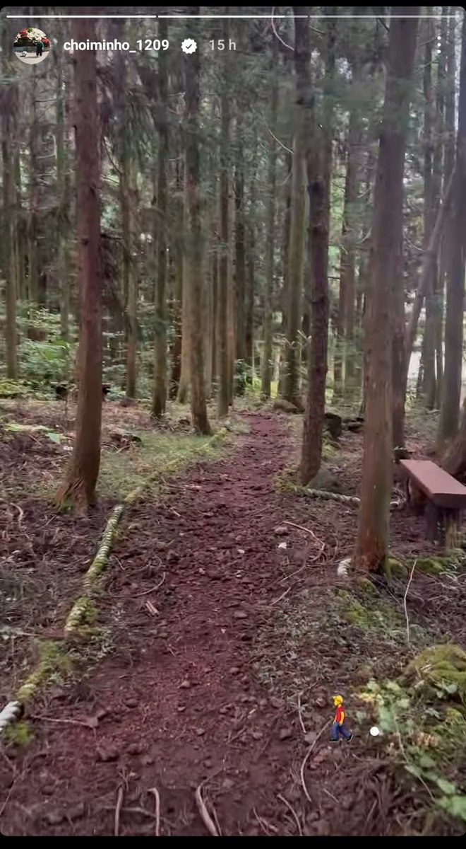 Ummm Minho in his twilight vibes??🤭
want to be my Edward Cullen?🤣