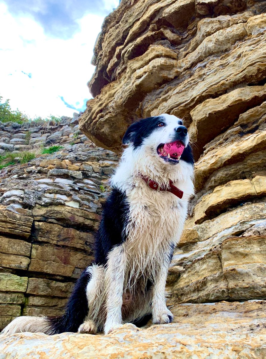 Hope everyone is having a good day ❤️