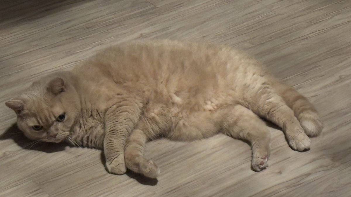 越、來、越、近！