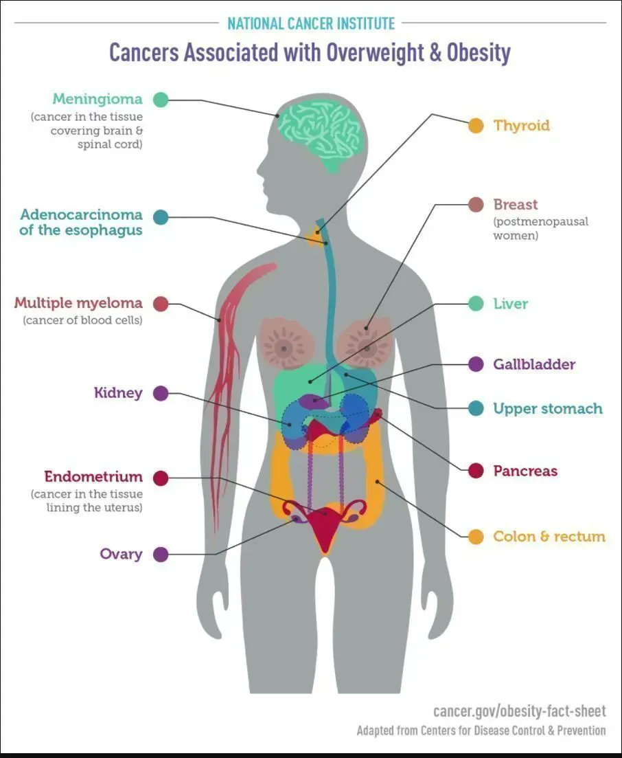 There is consistent evidence that higher amounts of body fat are associated with increased risks of a number of cancers, and we don't know how the risk might change over time or with weight loss. bit.ly/2QgG0N7