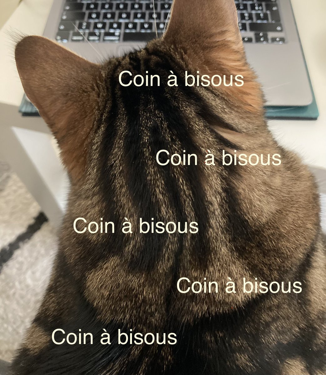 LouPendragon's tweet photo. Le DOS
C’est la partie centrale du potichat que elle est pleine de fluff. Subséquemment c’est là que on trouve les coins à bisous pour humains (comme vous constatir il y a bocou les coins). https://t.co/3Zv3QceAoL