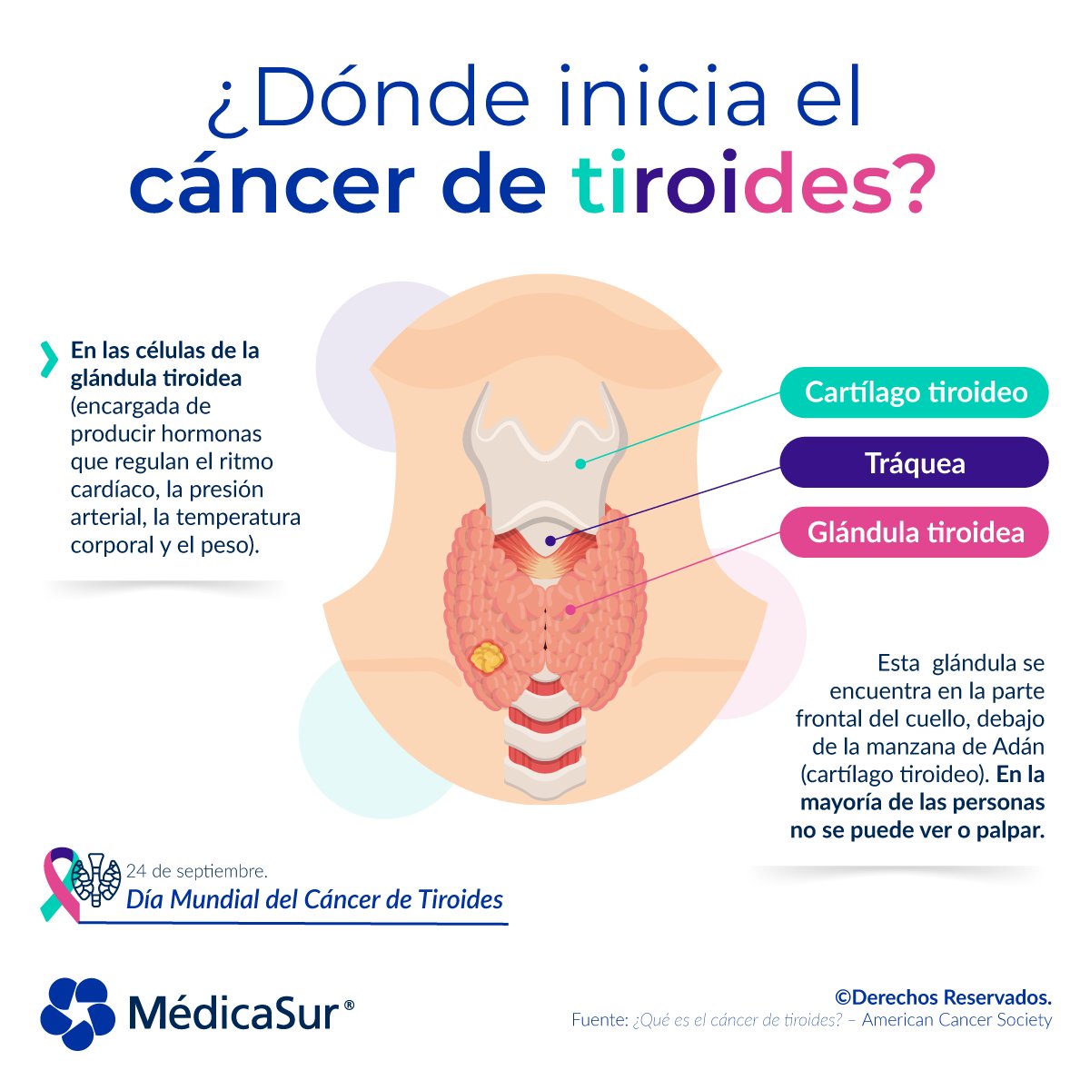 ¿Sabías que la cantidad de casos de #cáncer de #tiroides en México se ha triplicado en las últimas 4 décadas? Conoce más sobre este tema.  
​
​📞 Centro #Oncológico: 55 5424 7282

 #DíaMundialDelCáncerDeTiroides​ #CáncerDeTiroides