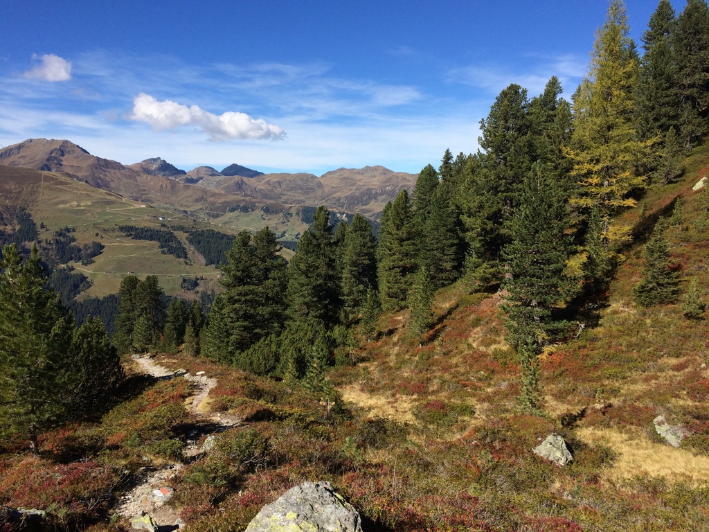 Herbst im Tuxertal 
Die Tage werden kürzer, die Wälder färben sich gemächlich bunt und das Licht wird weicher. Die Bauern bringen noch die letzte Heuernte ein und währenddessen kehren langsam die Tiere von den Almen zurück. Und schon steht der Herbst im Tuxertal vor der Tür!🥰