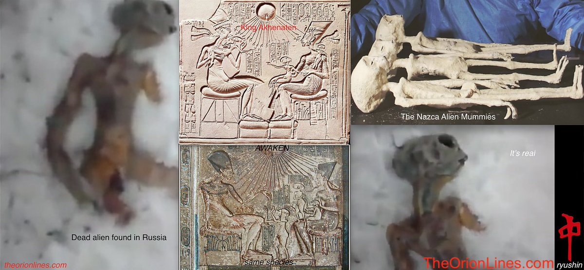 RyushinMalone17's tweet photo. https://t.co/2BKaSWbuxn #nazcaalienmummies #perualiens #theorionlines #mexicocongress #mexicocongessaliens #aliens #alien #ufo #ufos #extraterrestrials #kingAkhenaten #UAPtwitter #ufotwitter https://t.co/xJaWXb3Ni2