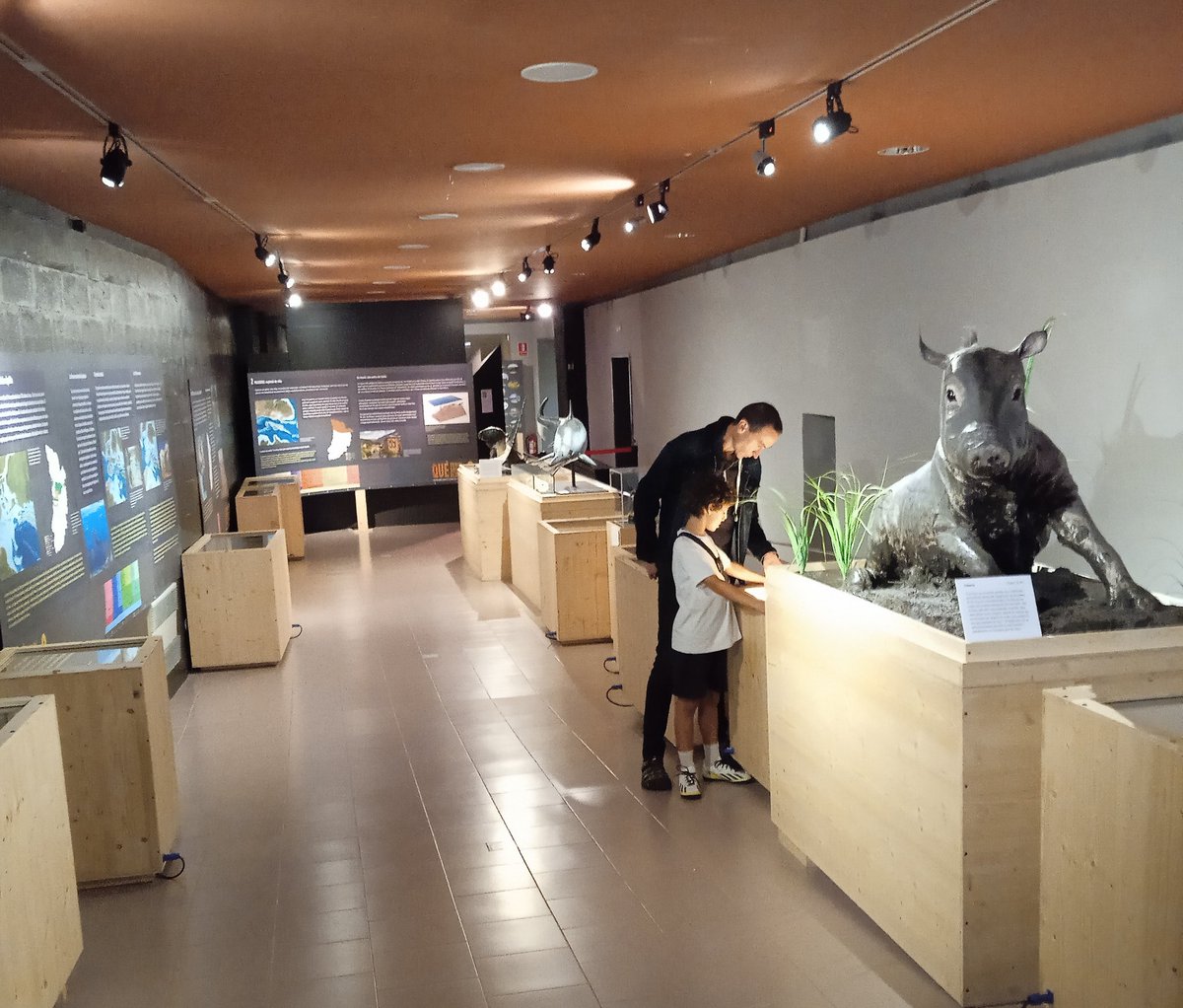 museudecervera's tweet photo. N'hi ha que ja van venir ahir i avui repeteixen ‼️😲
Exposició 'Què tenim sota els peus? 550 milions d'anys d'evolució a Ponent i el Pirineu '
Què tenen els fòssils i la paleontologia 🪨🦕🐾que enganxen tant⁉️
@MuseuConcaDella
@xmtlla
#sotaelspeus #xmtlla https://t.co/CvZwWrCVTn