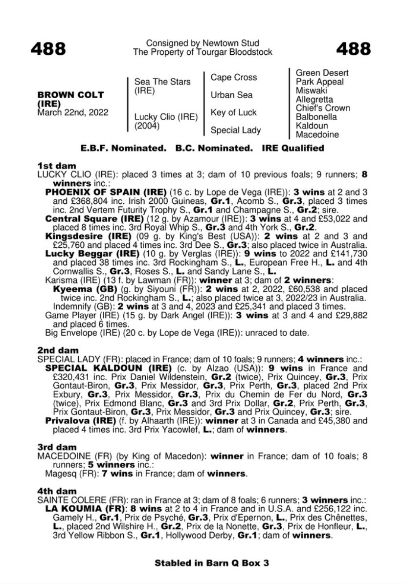 Newtown Stud (@newtownstud) on Twitter photo Lot 488 <a href="/Goffs1866/">Goffs</a> is a stunning son of <a href="/AgaKhanStuds/">Aga Khan Studs</a> Sea The Stars ex Lucky Clio making him a half brother to <a href="/IrishNatStud/">Irish National Stud</a> stallion & Irish 2,000 Guineas winner Phoenix of Spain. He is also a brother to 8 winners including four stakes performers from family of Special Kaldoun Lot 488 <a href="/Goffs1866/">Goffs</a> is a stunning son of <a href="/AgaKhanStuds/">Aga Khan Studs</a> Sea The Stars ex Lucky Clio making him a half brother to <a href="/IrishNatStud/">Irish National Stud</a> stallion & Irish 2,000 Guineas winner Phoenix of Spain. He is also a brother to 8 winners including four stakes performers from family of Special Kaldoun
