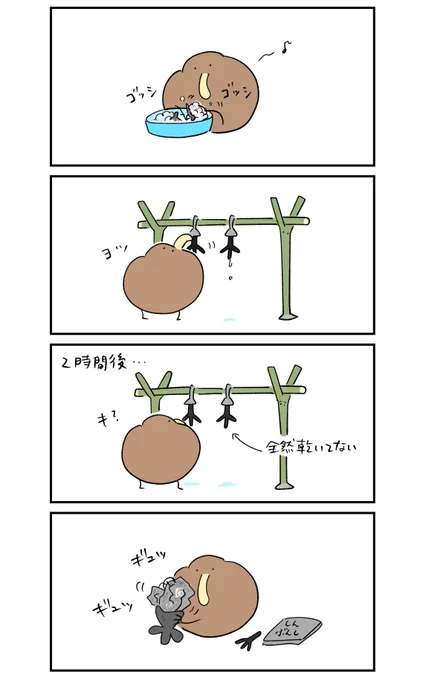 今日は靴を洗ったキーウィ 