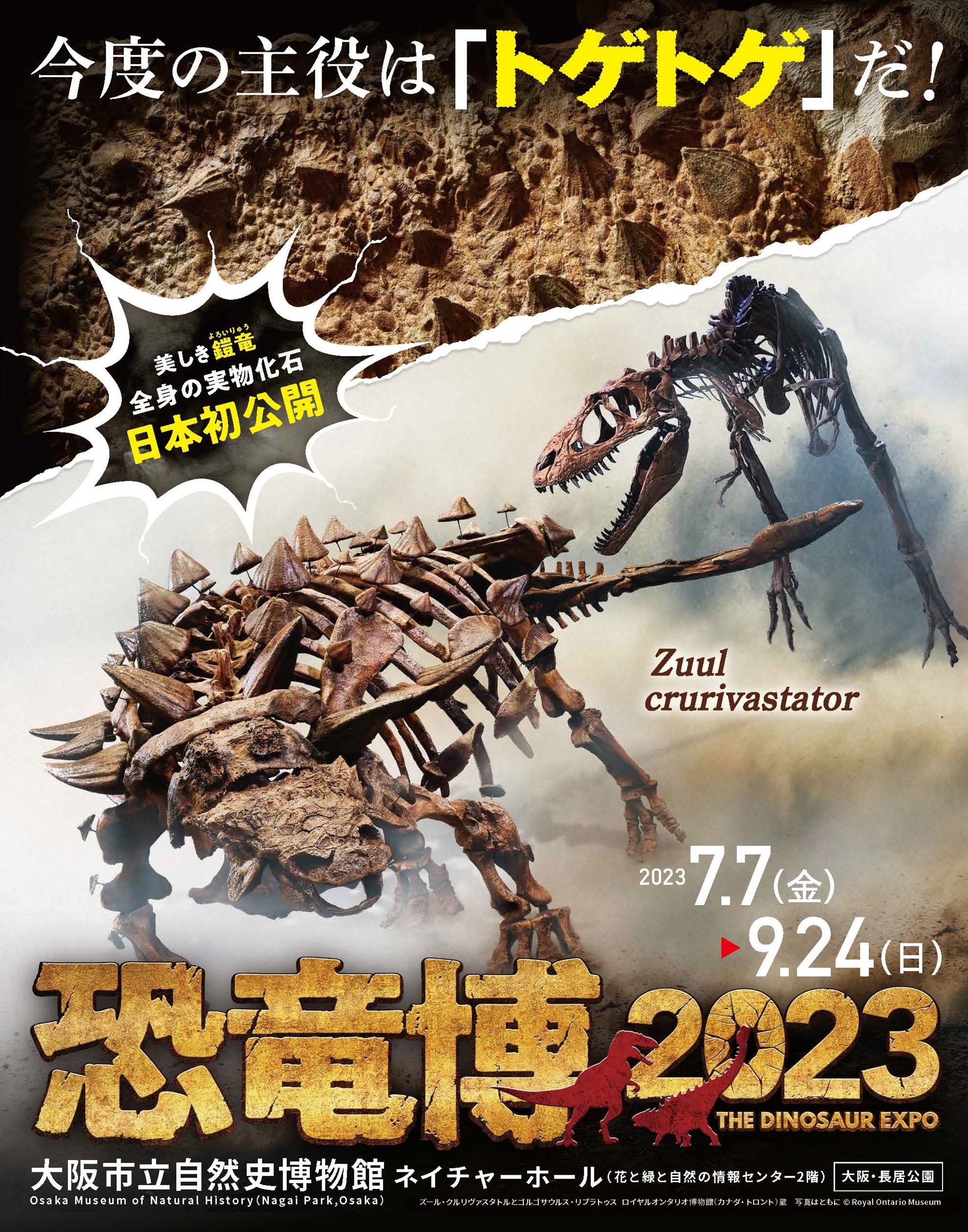 恐竜博2023チケット　２枚セット