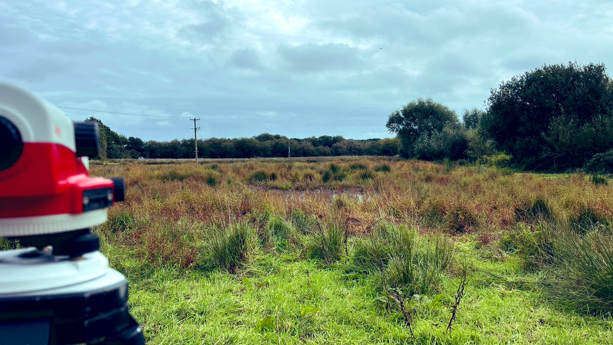 Blacky_Himself's tweet image. More floodplain reconnection/wetland creation designing on the Isle of Wight today.
This won’t take much to transform into something spectacular.
#WeekendWorking #BuildBackWetter