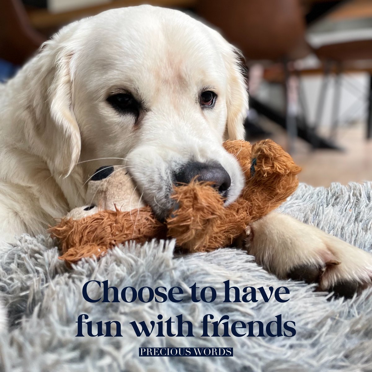 PreciousWordsie's tweet image. Choose to have fun with friends. Have fun together today.
#choosetohavefun #havefuntoday #havefuntogether #preciousmoments #preciouswords #preciouswordsoflife #sundayvibes #GM