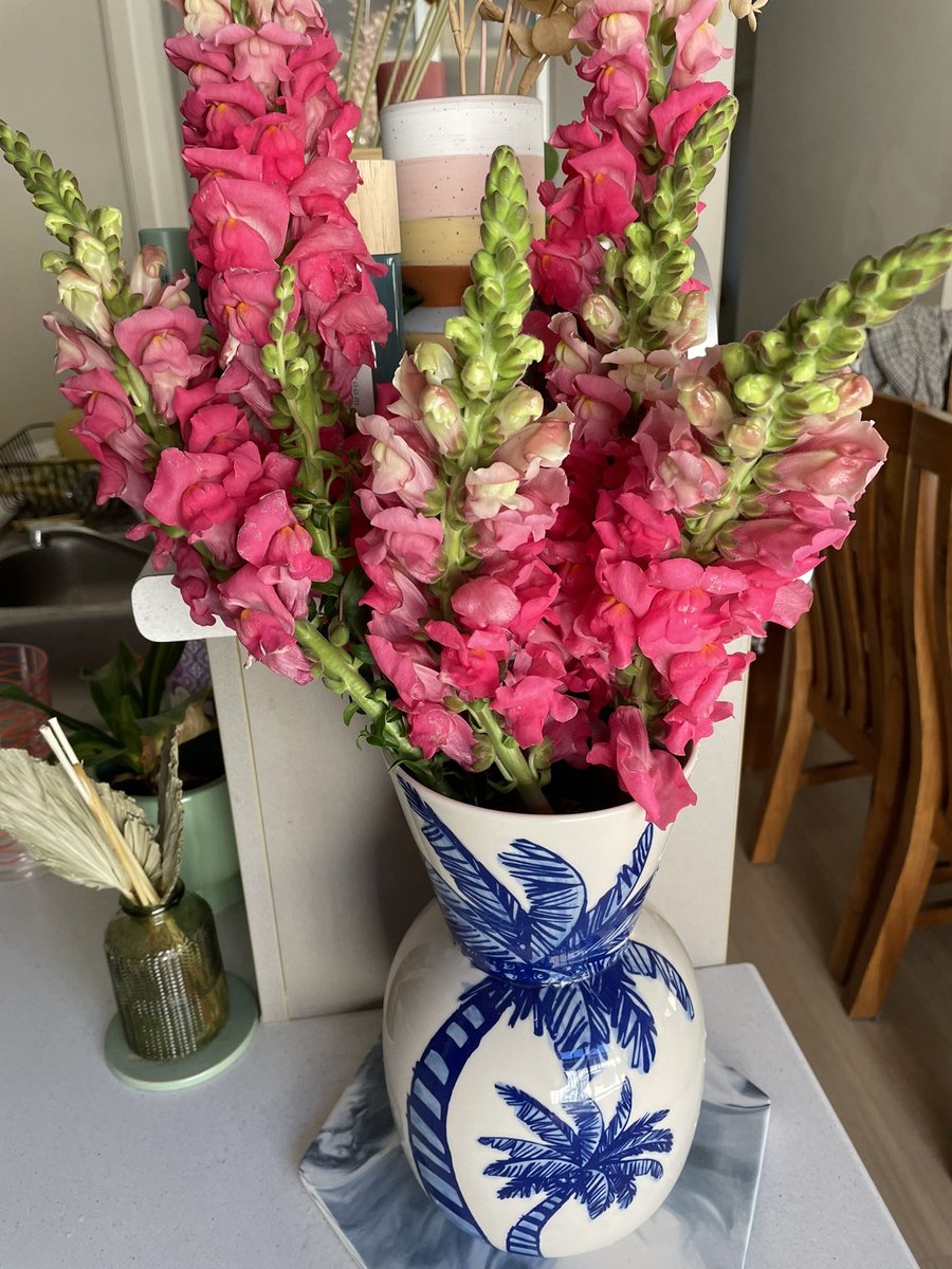 Melanie Usher tweet media