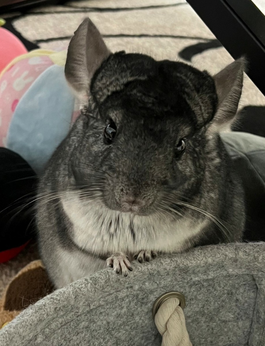 さっ、部屋んぽ楽しもう✨