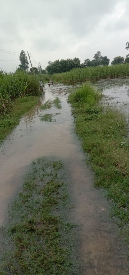 Ramrajmaurya77's tweet image. माननीय @dmgonda2जी से निवेदन है कि ग्राम सभा उज्जैनी कला लोनियन पुरवा में सड़क की दशा खराब होने के कारण बारिश के मौसम में आने जाने में ग्राम वासियों को बहुत परेशानी होती है।
अतः आप से निवेदन है कि ग्राम वासियों की परेशानी का निराकरण करे।🙏🙏