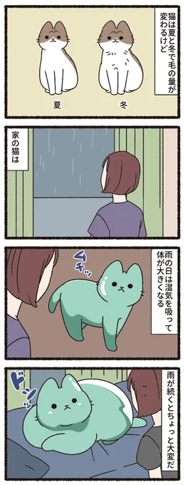 ねこもんすたー すらいむ 
#ねこようかい #ねこもんすたー 