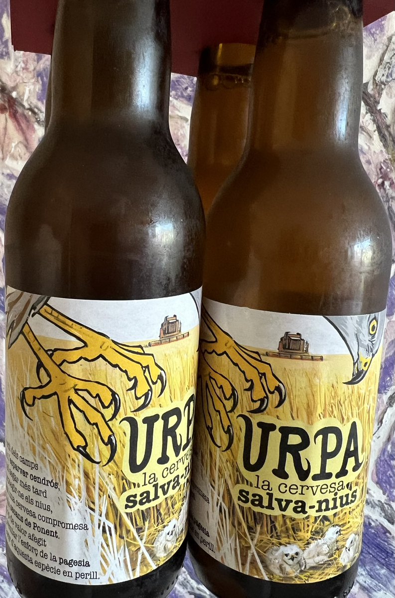 birdcatalunya's tweet photo. Ahir, durant el festival, es va presentar el projecte Urpa, en que s’elabora cervesa amb els camps de cereal que no s’han segat per protegir els nius d’arpella cendrosa.
Jo ja vaig recollir les meves cerveses 😜😜
#dbf23 https://t.co/UUnKHJDpcO