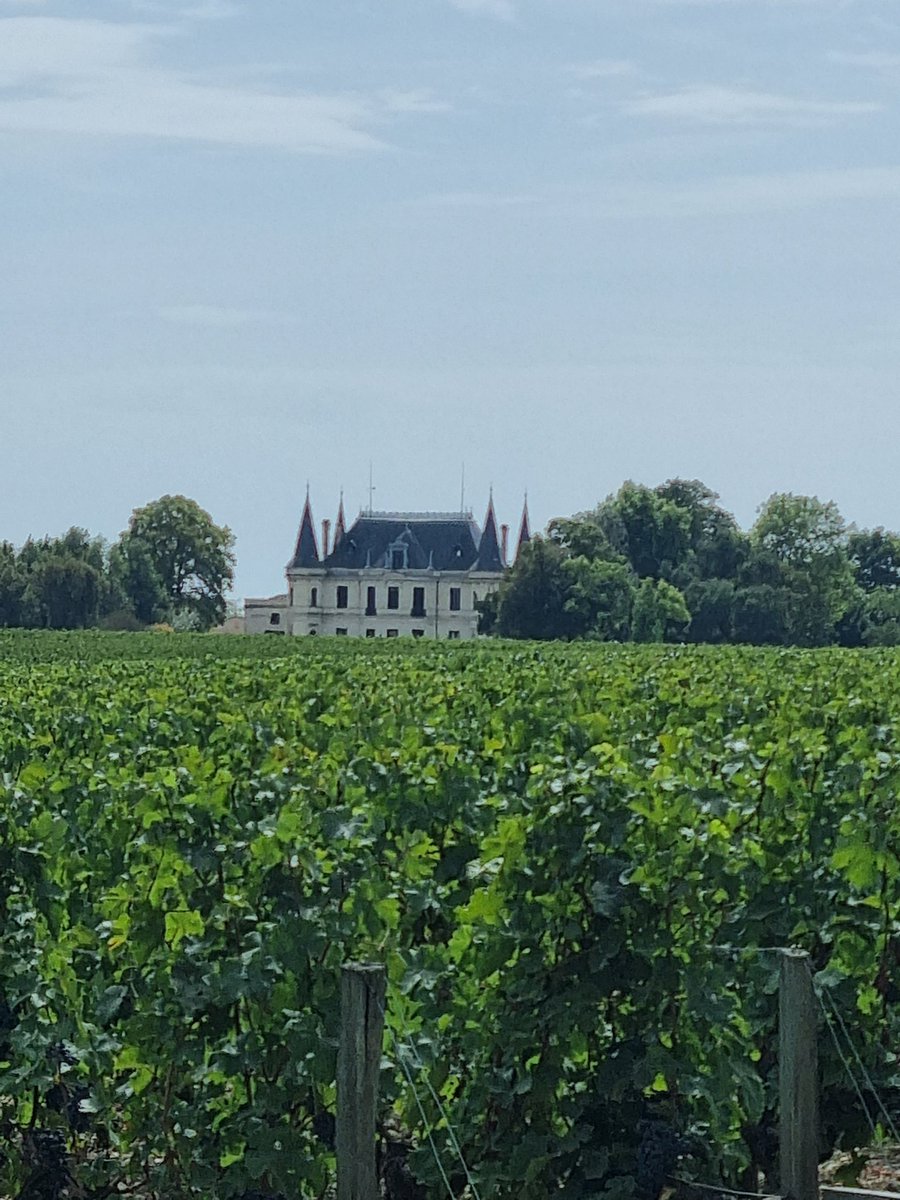 mei2viktoria's tweet photo. @FotoVorschlag Ackerbau' #FotoVorschlag #365Projekt #52Projektv
Medoc,Frankreich https://t.co/nTgAgTKHHc