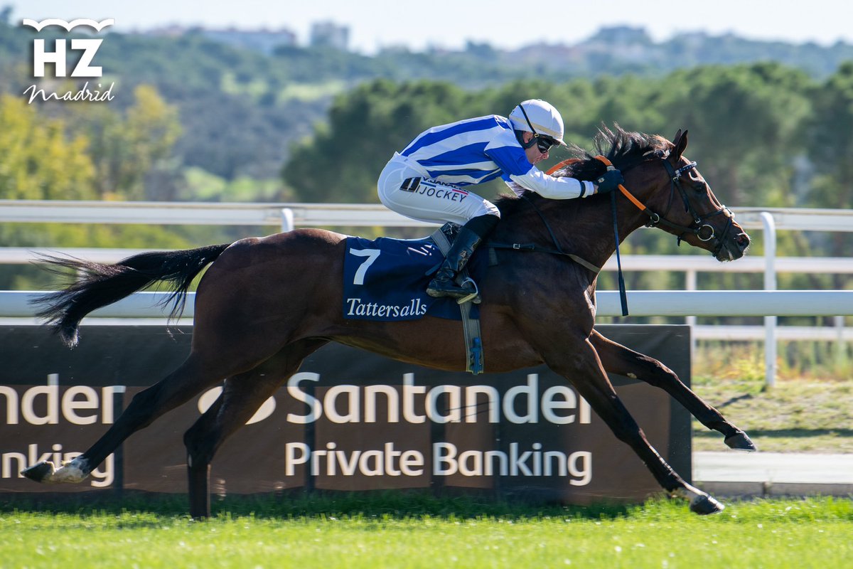 HipodromoMadrid's tweet image. Enhorabuena a la Cuadra Mediterráneo por la victoria de VELERIN (Le Havre) en el Premio Luis Maroto patrocinado por @Tattersalls1766. Preparación de @ArizkorretaR y monta de @JanacekVaclav. 🏇🥇👏