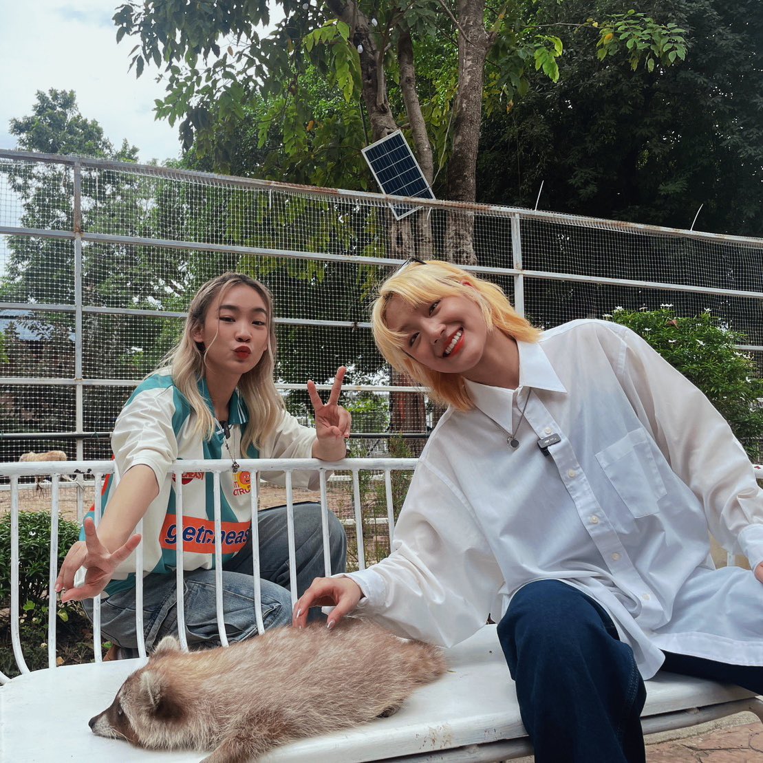 True Inside tweet media