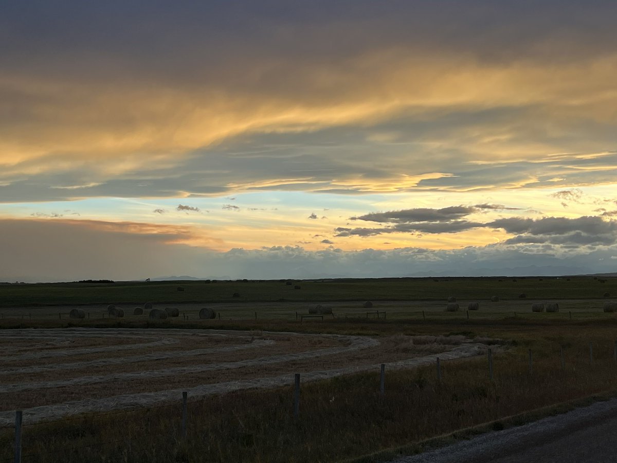 Mountains just in the distance, AB sure doesn’t disappoint! 

#harvest23 #AgTwitter