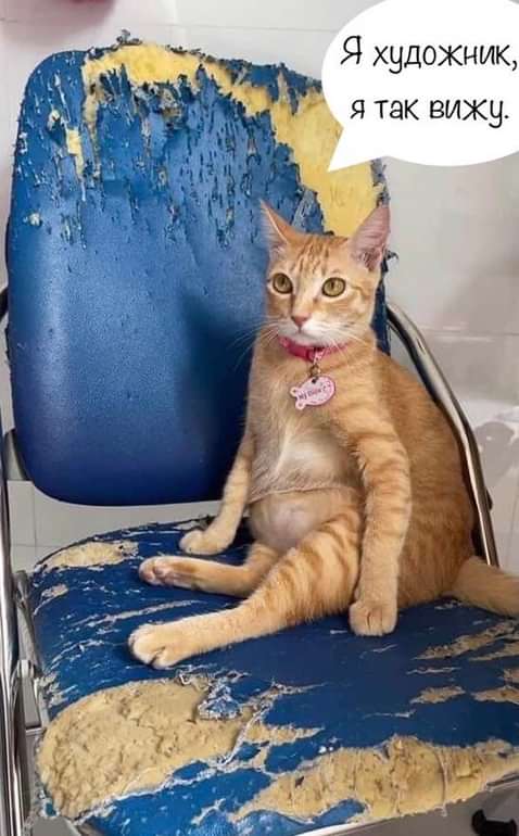 Piol (@pritulatan) on Twitter photo 