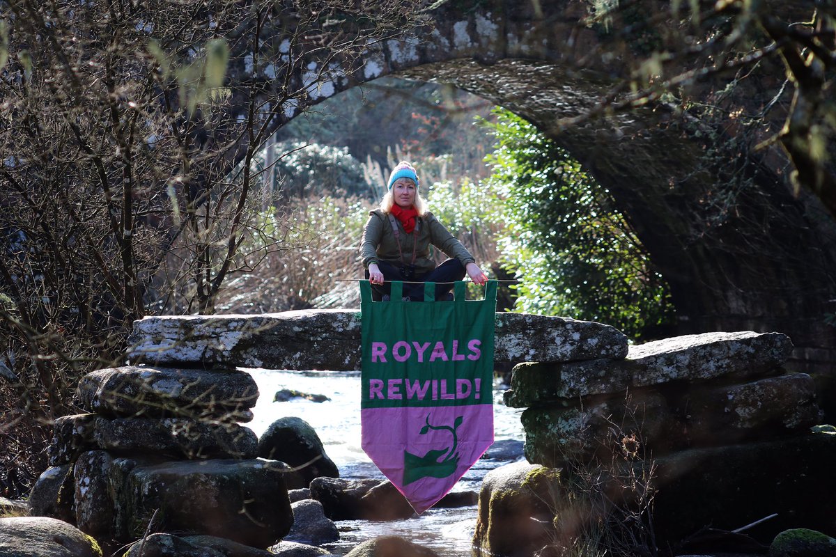 Many rivers arise on Dartmoor including the East and West Okement, Taw, Teign, Bovey, Dart, Avon, Yealm, Erme, Plym, Walkham, Tavy and Lyd. These rivers & streams are characterised by being fast-flowing & rise rapidly in response to rainfall. 1/3 #WorldRiversDay