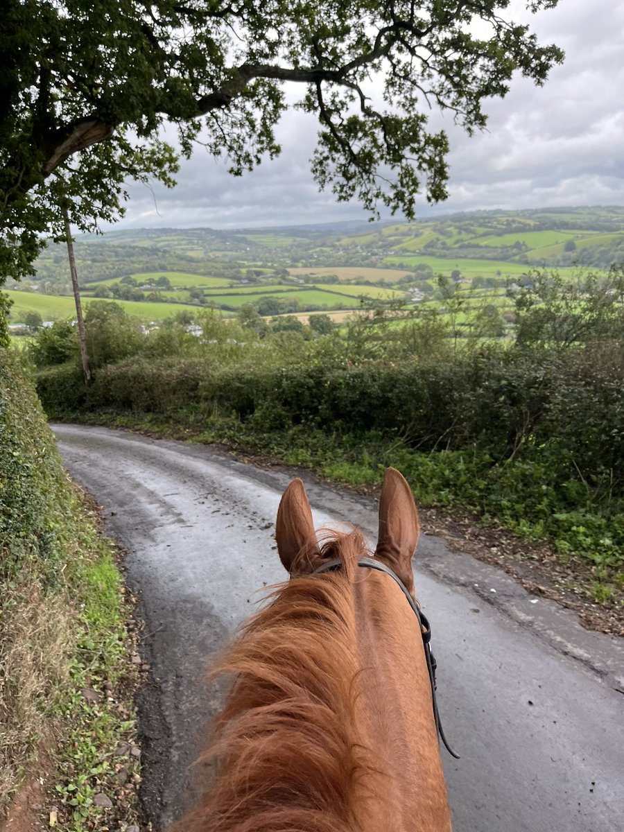 ianchanin's tweet image. Sunday . Views for day #devonisheaven