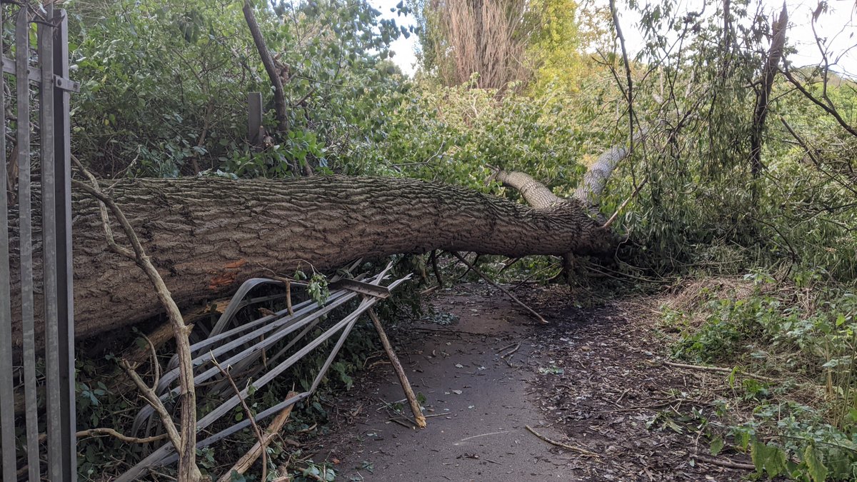 garethhorne's tweet photo. @TPT_National Big Poplar tree blocking #NCNRoute6 between Meadowhall and Rotherham. Opposite Jordans Dam Weir, looks to be on the Rotherham/Sheffield Met. District Border. https://t.co/yxRQWThgZY