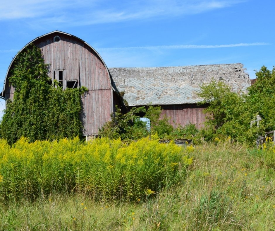 outsidediscover's tweet photo. The iconic symbol of American farming heritage. A skeleton's of a time gone by. #barn #americanbarn #farming #photography #oldbarn #HauntedBarn #heritage https://t.co/xw1ovrz2uv