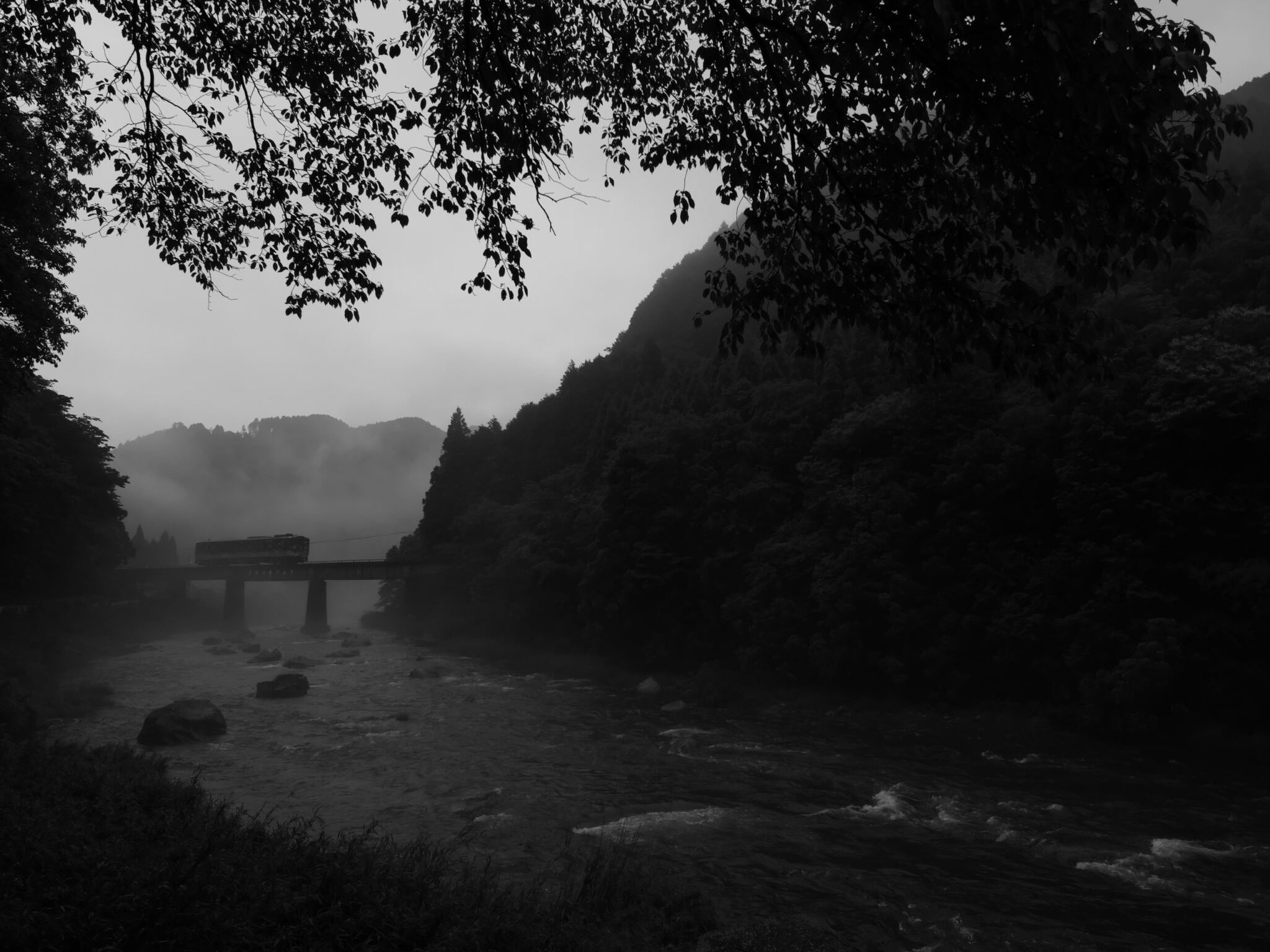 ゴン助 (@GonSukeGo) / X