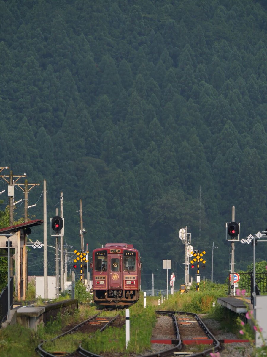ゴン助 藤原産業 SK11 SPDコンベックス レインボー SPD-2555MKP ( 1個