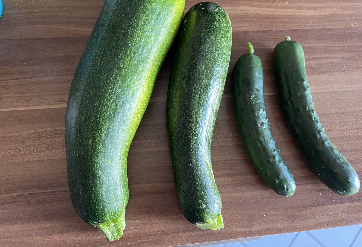 Vielleicht die letzte Ernte dieses Jahr?

Nach ner Weile Pause konnte ich heut sogar nochmal zwei Zucchini mitnehmen.

Endlich wieder Zucchini, habs schon vermisst