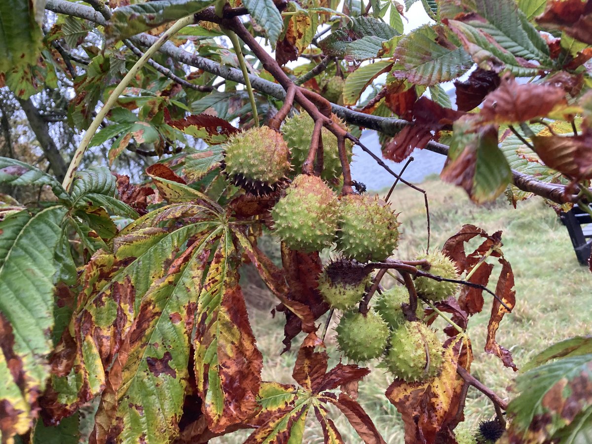 Draycote Water tweet media