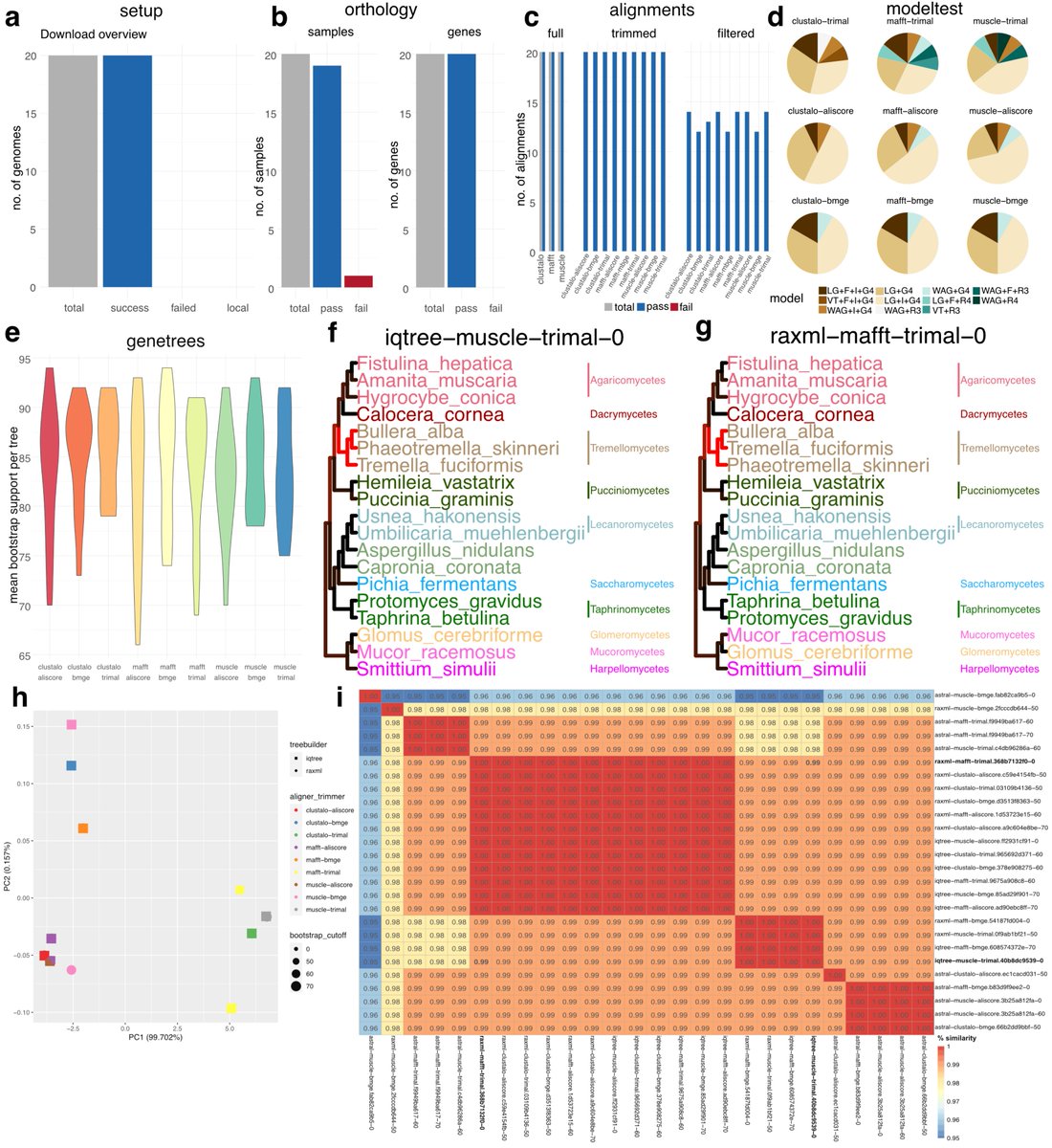 Interested in #phylogenetics using whole #genome/#transcriptome/#proteome data? @C__Hahn and I are very happy to share phylociraptor with you: It facilitates explorative and reproducible phylogenomic analyses of thousands of genes and genomes. Preprint: tinyurl.com/yc4f7v6d