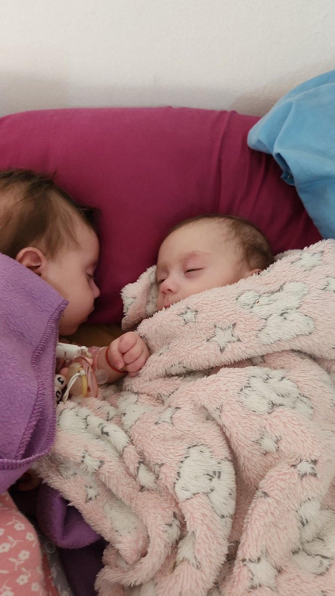lujan_bat's tweet photo. #estefinde juana y amparo  disfrutando la cama de mamá.... https://t.co/5Auv1VE8Wl