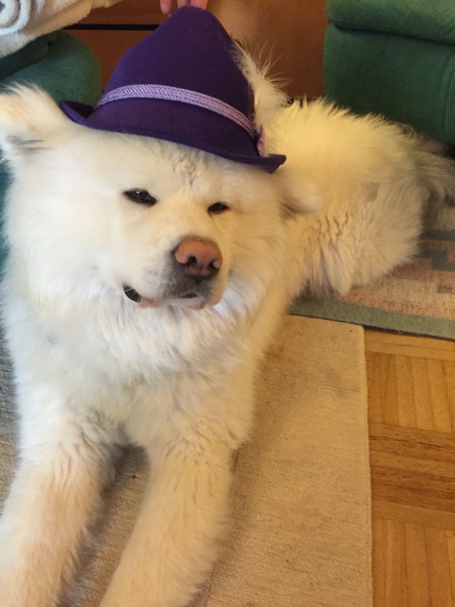 Sehe ich nicht stylisch aus?#twitterrudel