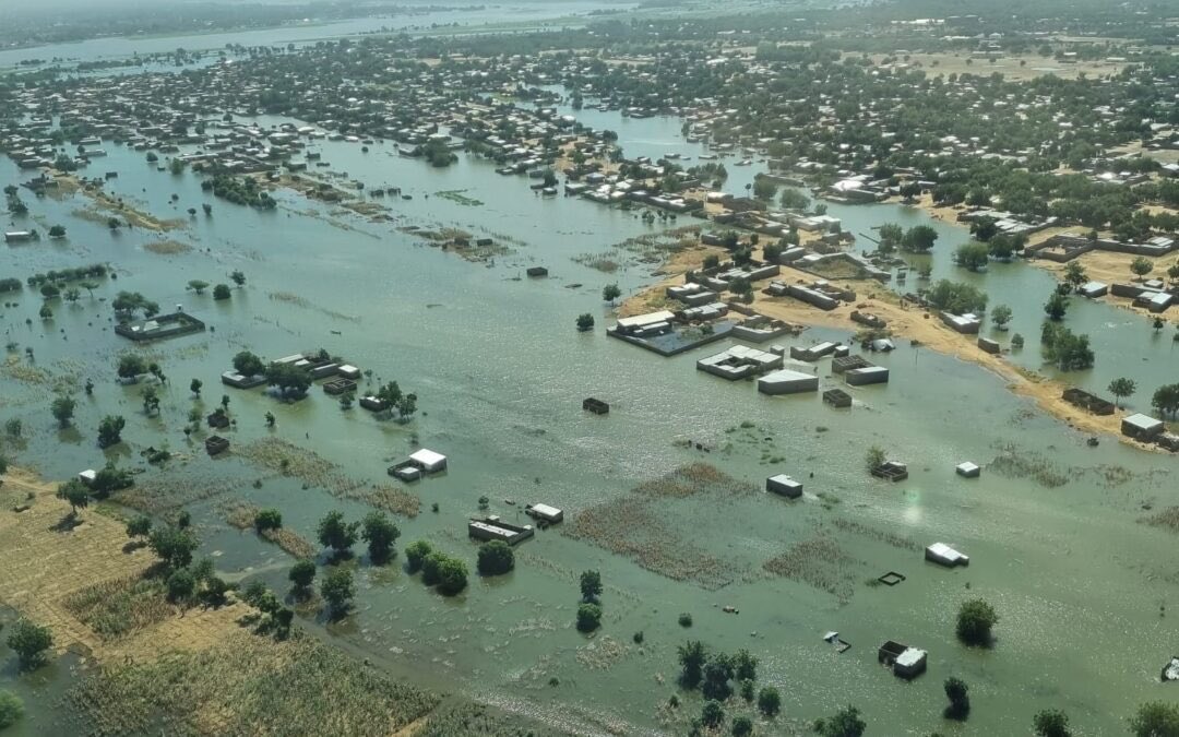 AmanzWillieONE's tweet photo. Today, I call upon the global community to act with urgency in reducing emissions &amp; addressing the broader environmental challenges, fulfilling its obligations, keeping past promises &amp; supporting the local &amp; indigenous community in addressing climate change. https://t.co/TFUqm8aeHc