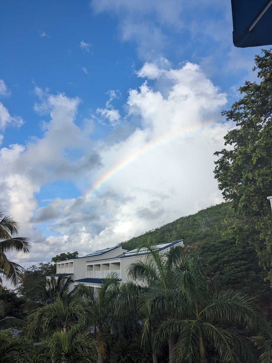 Morning morning morning